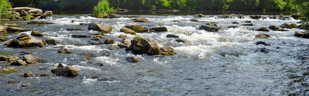 découvrez comment allier économie et harmonie dans votre quotidien. explorez des astuces pratiques et des stratégies innovantes pour améliorer vos finances tout en respectant l'environnement.