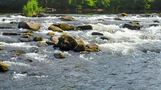 découvrez comment allier économie et harmonie dans votre quotidien. explorez des astuces pratiques et des stratégies innovantes pour améliorer vos finances tout en respectant l'environnement.
