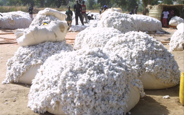 découvrez l'univers fascinant du coton en afrique, un incontournable de l'agriculture durable qui allie tradition et modernité. explorez son impact économique et social à travers le continent tout en mettant en avant les pratiques respectueuses de l'environnement.